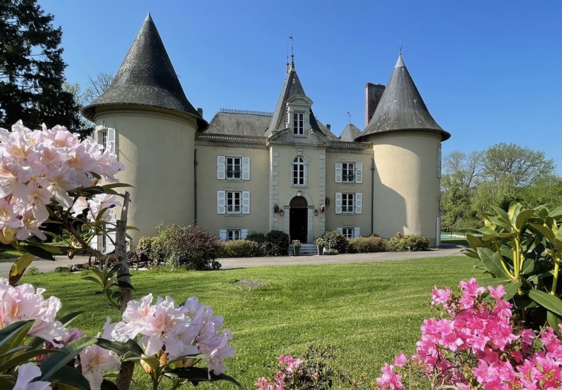 Castle in Saint-Mathieu, Nouvelle-Aquitaine, France 1 - 18378781