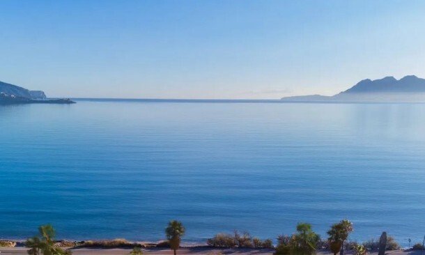 Land in Pollenca, Balearic Islands, Spain 2 - 18380681