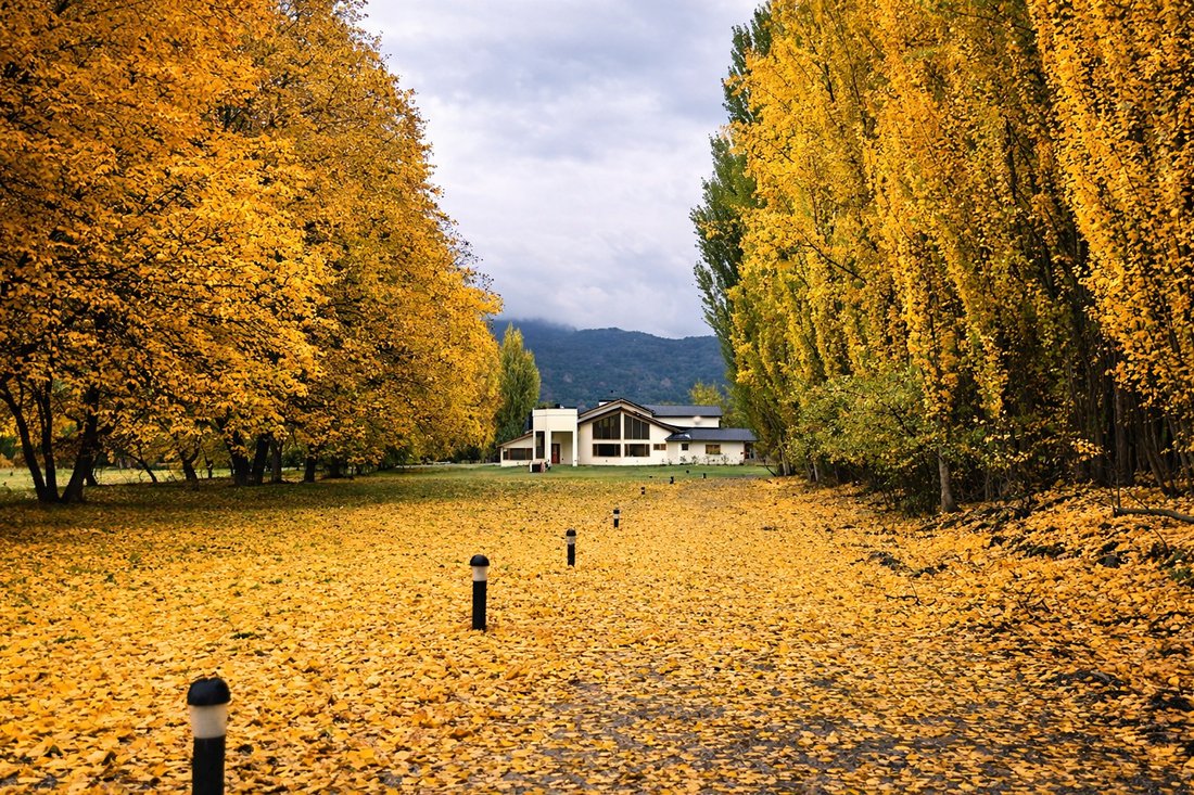 Villa in El Hoyo, Chubut Province, Argentina 4 - 18373321