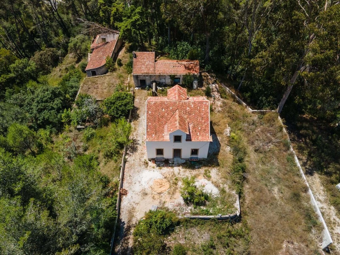 Farm Ranch in Sintra, Lisbon, Portugal 1 - 18376049