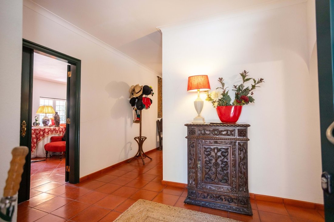 Villa in Santo Estevao, Santarem District, Portugal 5 - 18379923