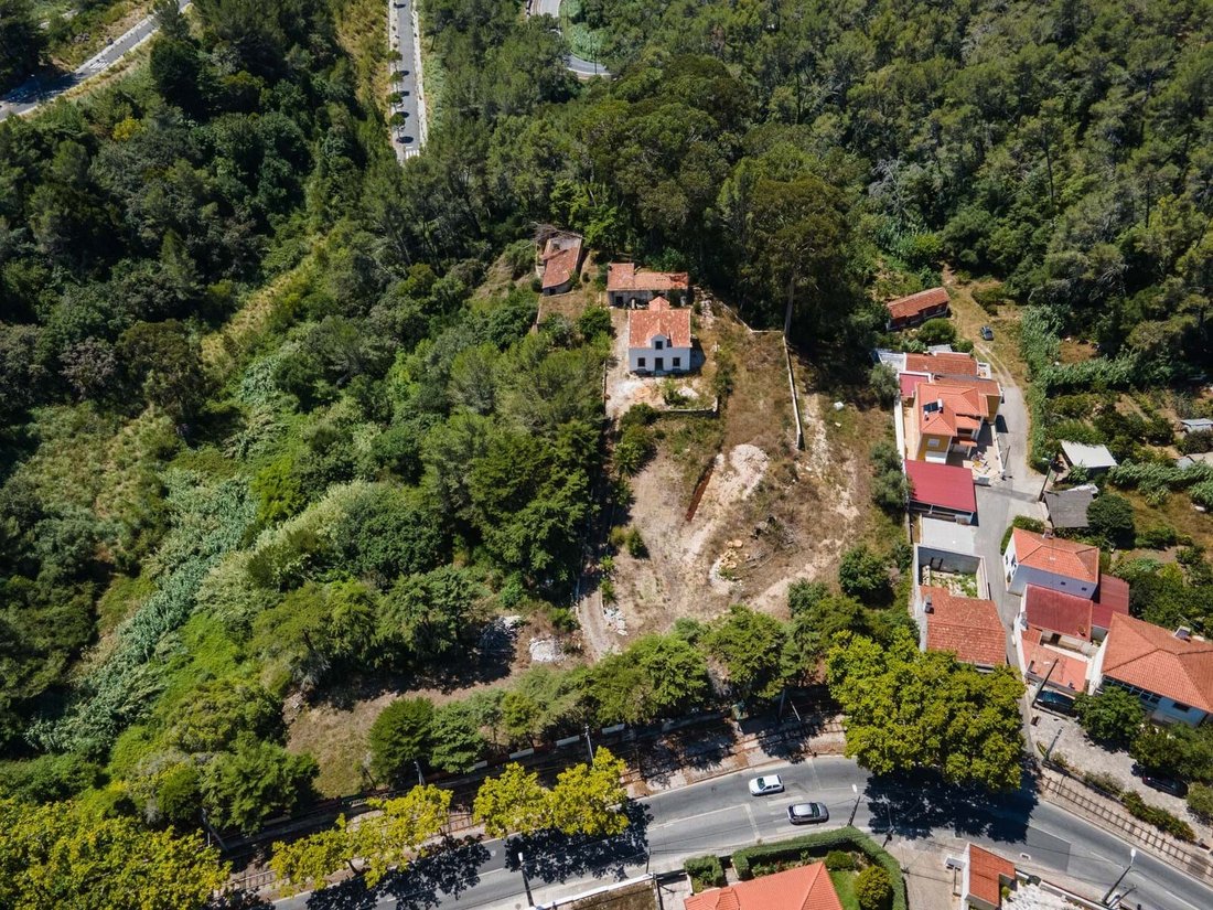 Farm Ranch in Sintra, Lisbon, Portugal 3 - 18376049