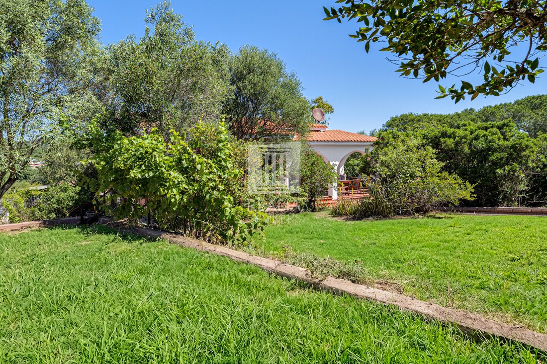 Maison à Figari/Golfo Aranci, Sardaigne, Italie 5 - 18380434