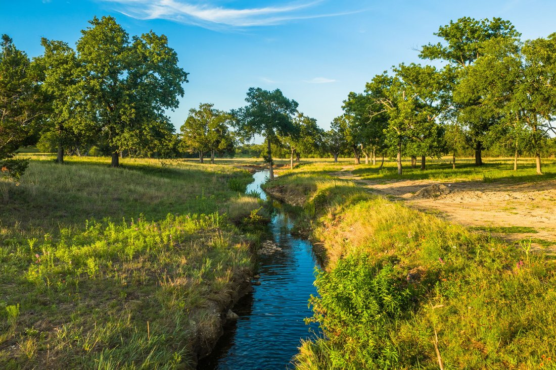 Azienda agricola a Bertram, Texas, Stati Uniti 3 - 18373374