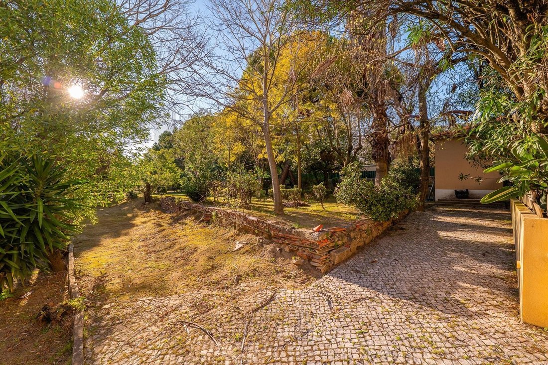 House in Penha de Franca, Lisbon, Portugal 5 - 18373340