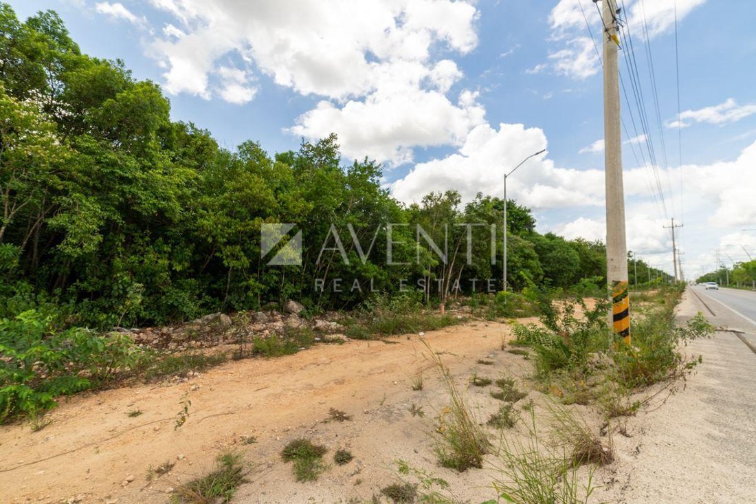 Land in Cancún, Quintana Roo, Mexico 3 - 18373999