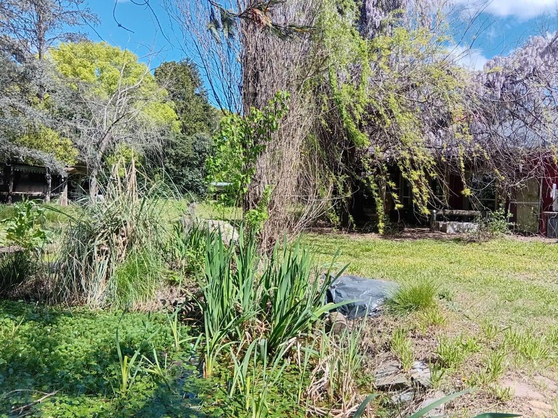 Land in Canning, Buenos Aires, Argentina 3 - 18374201