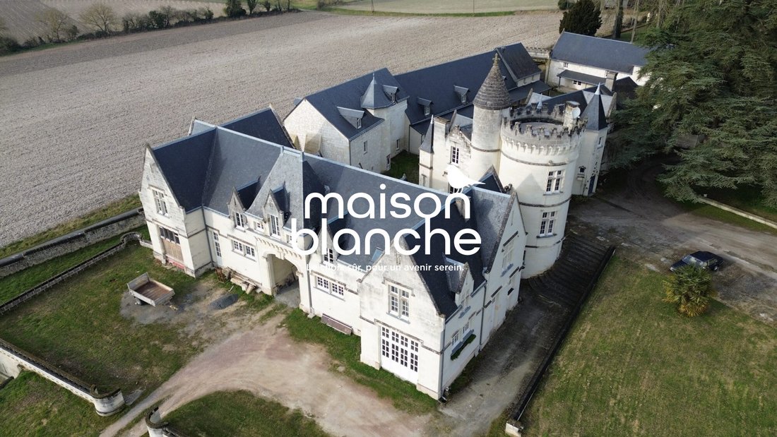 Chateau in Delessert-Saint Louis-Nantilly, Saumur, France 2 - 17468579