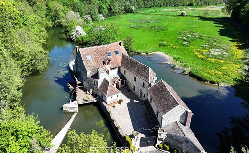 Villa in Varennes-Jarcy, Ile-de-France, France 1