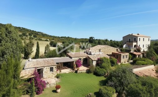 House in Centre, Calvi, France 1