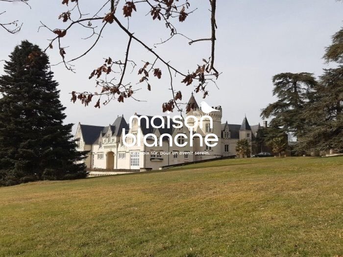 Chateau in Delessert-Saint Louis-Nantilly, Saumur, France 1 - 17468579