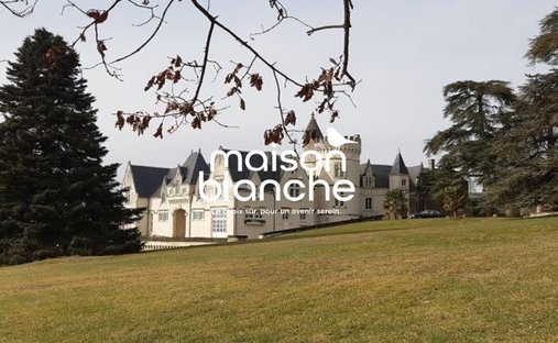 Chateau in Delessert-Saint Louis-Nantilly, Saumur, France 1
