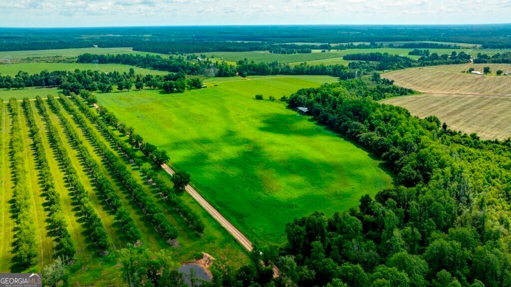 Farm Ranch in Bristol, Georgia, United States 3 - 18373539