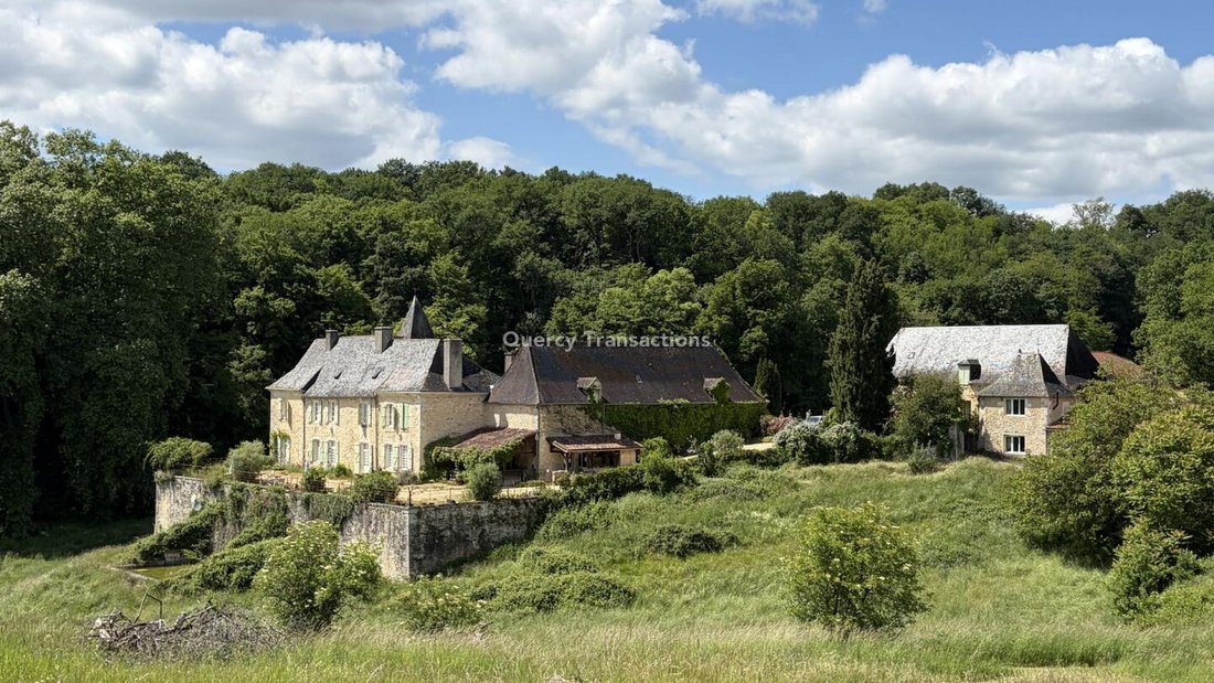 Castillo en Montignac-Lascaux, Nueva Aquitania, Francia 4 - 18373237