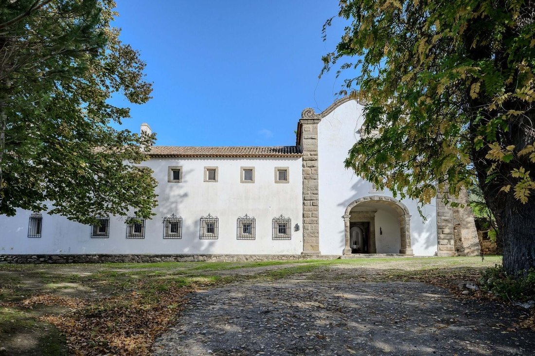 Chamusca e Pinheiro Grande, Santarem District, Portugal 4 - 18377642