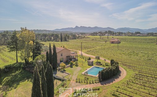 Villa in La Motte, Provence-Alpes-Côte d'Azur, France 1