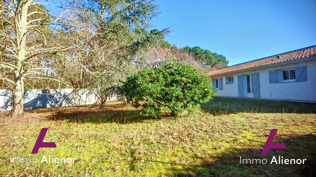 House in Sud Est, Andernos-les-Bains, France 1 - 18385466