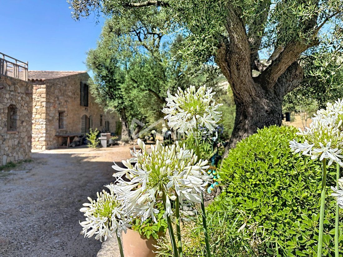 House in Centre, Calvi, France 3 - 18385650