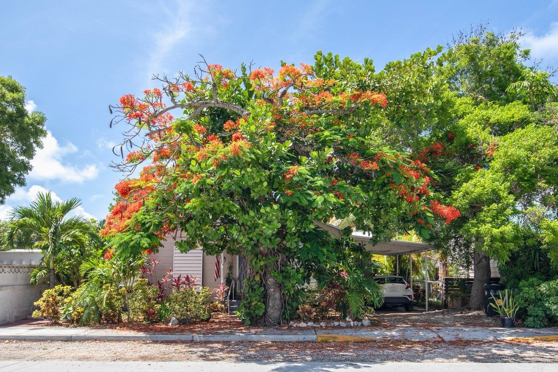 House in Key West, Florida, United States 2 - 18329048