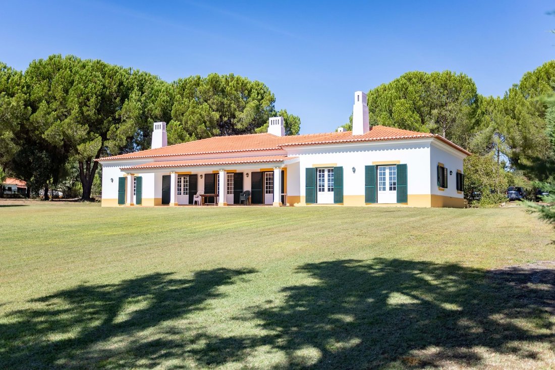 Villa in Santo Estevao, Santarem District, Portugal 4 - 18380413