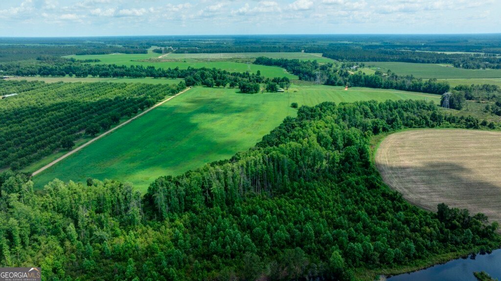 Farm Ranch in Bristol, Georgia, United States 4 - 18373539