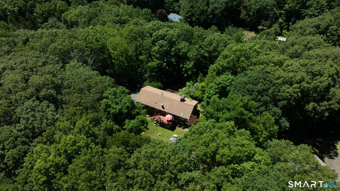 Danbury, Connecticut, United States 1 - 18374951