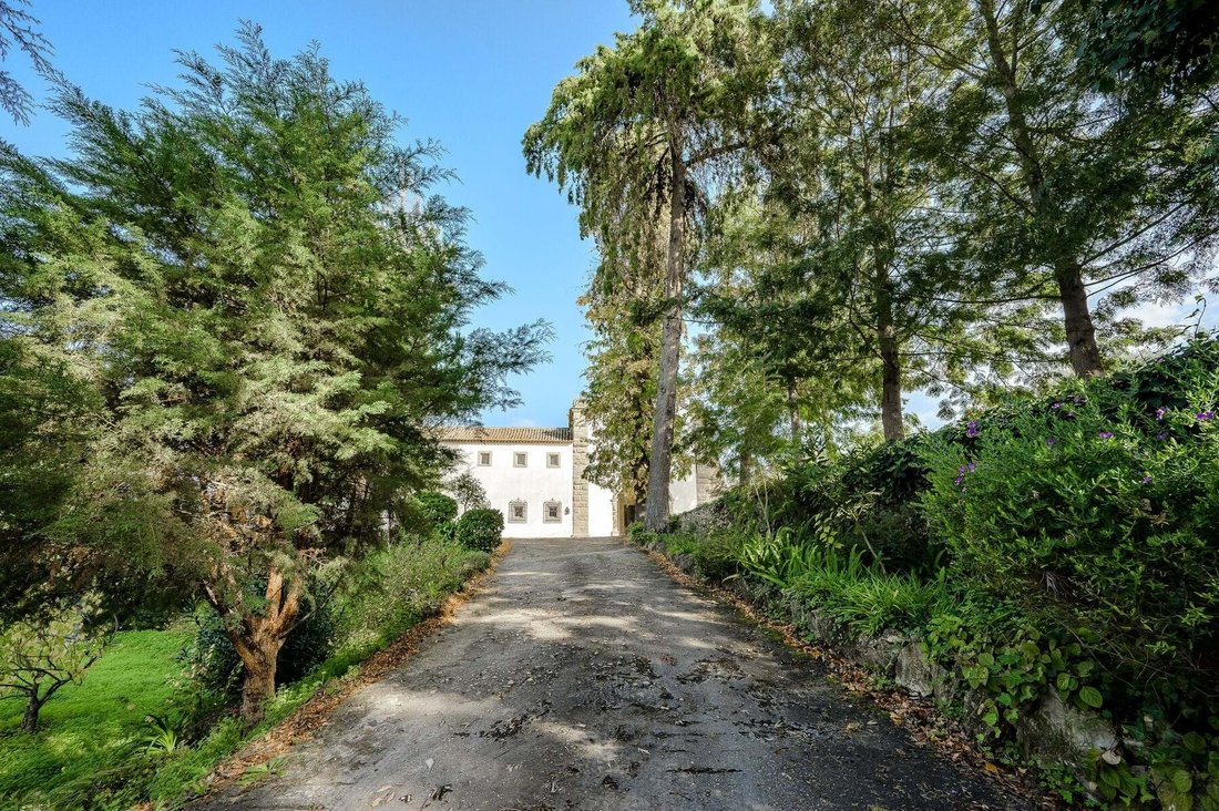 Chamusca e Pinheiro Grande, Santarem District, Portugal 5 - 18377642