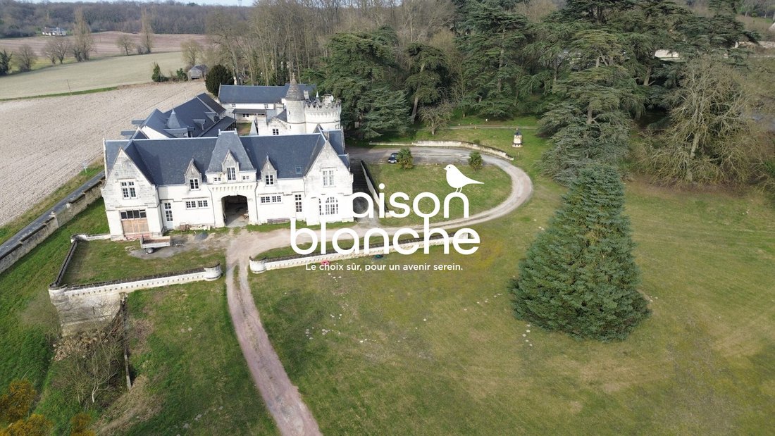 Chateau in Delessert-Saint Louis-Nantilly, Saumur, France 3 - 17468579