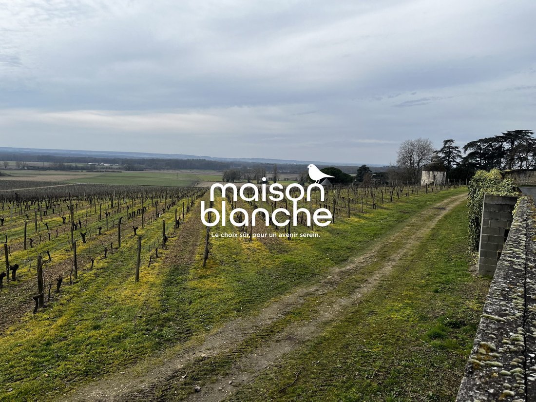 Chateau in Delessert-Saint Louis-Nantilly, Saumur, France 4 - 17468579