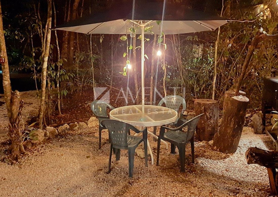 Land in Central Vallarta, Quintana Roo, Mexico 4 - 18373974