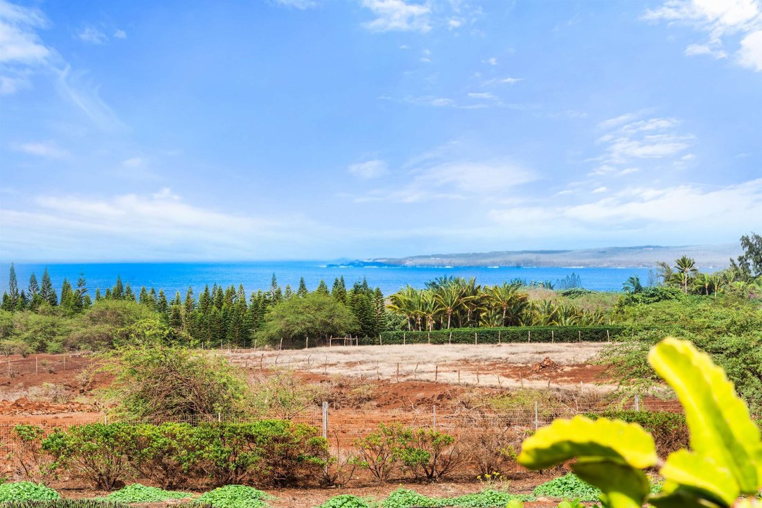 House in Maunaloa, Hawaii, United States 5 - 18381331