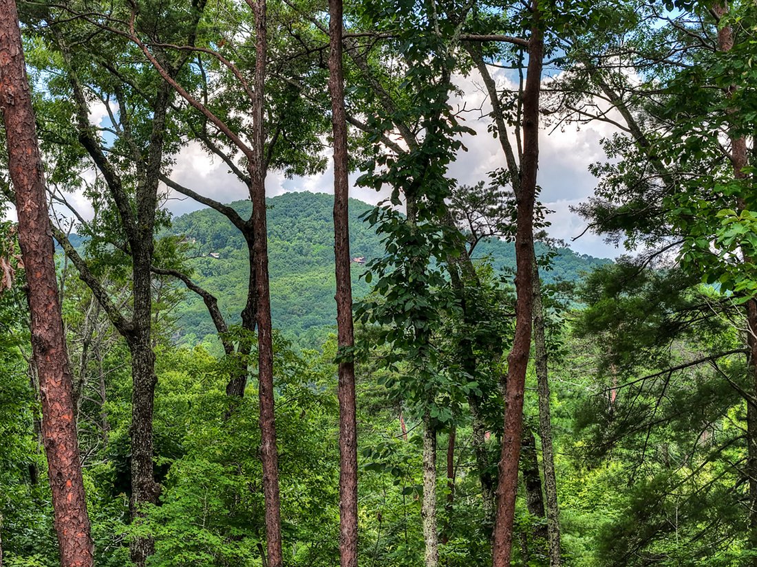 House in Blue Ridge, Georgia, United States 4 - 18373957