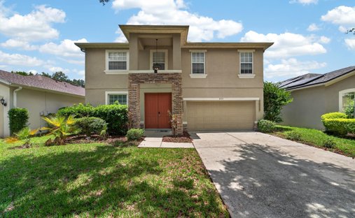 House in Tampa, Florida, United States 1