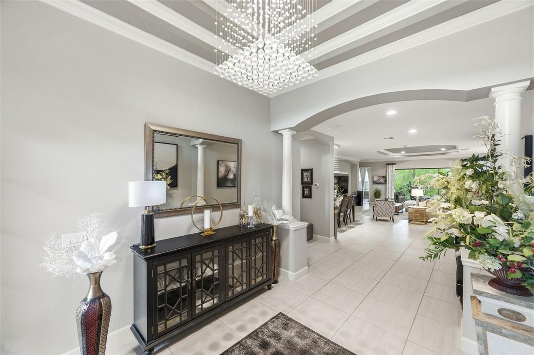 House in Tampa, Florida, United States 4 - 18372977
