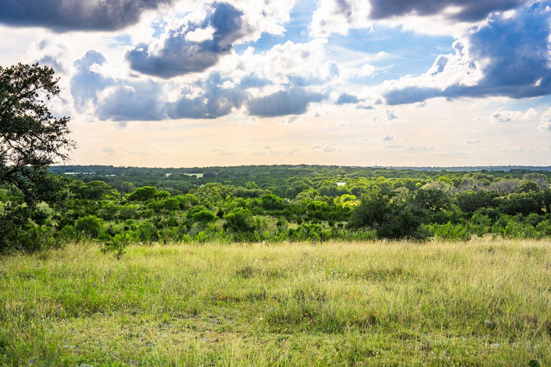Azienda agricola a Bertram, Texas, Stati Uniti 4 - 18373374