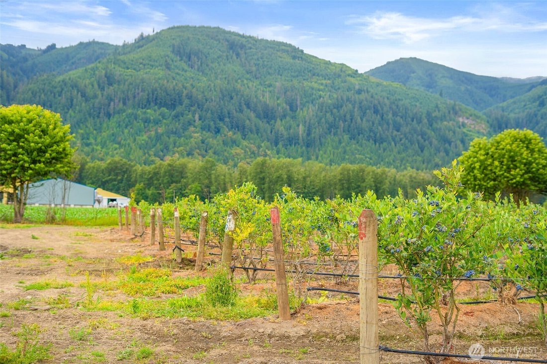 Farm Ranch in Deming, Washington, United States 4 - 18373349