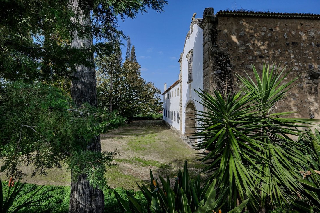 Chamusca e Pinheiro Grande, Santarem District, Portugal 3 - 18377642