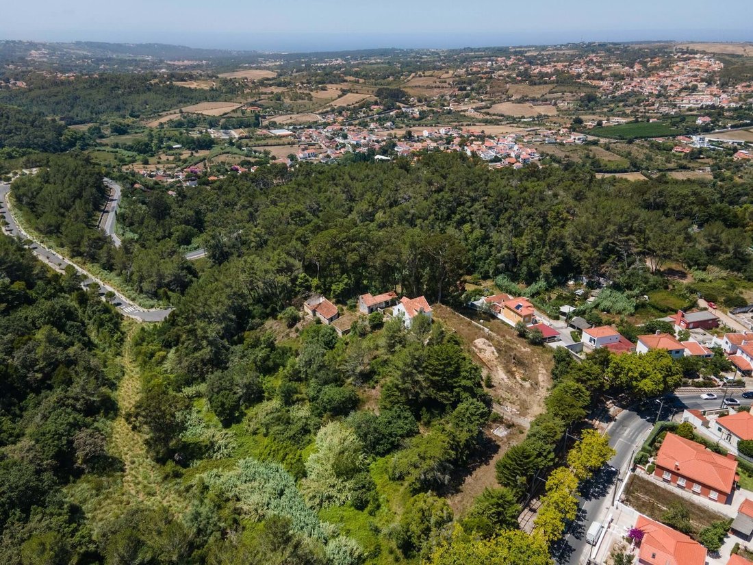 Farm Ranch in Sintra, Lisbon, Portugal 2 - 18376049