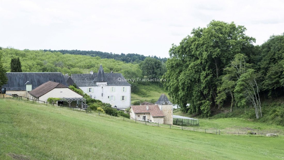 Castillo en Montignac-Lascaux, Nueva Aquitania, Francia 2 - 18373237