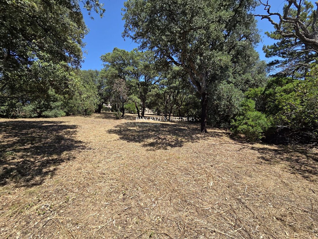 Land in Sarrola-Carcopino, Corsica, France 2 - 18385478