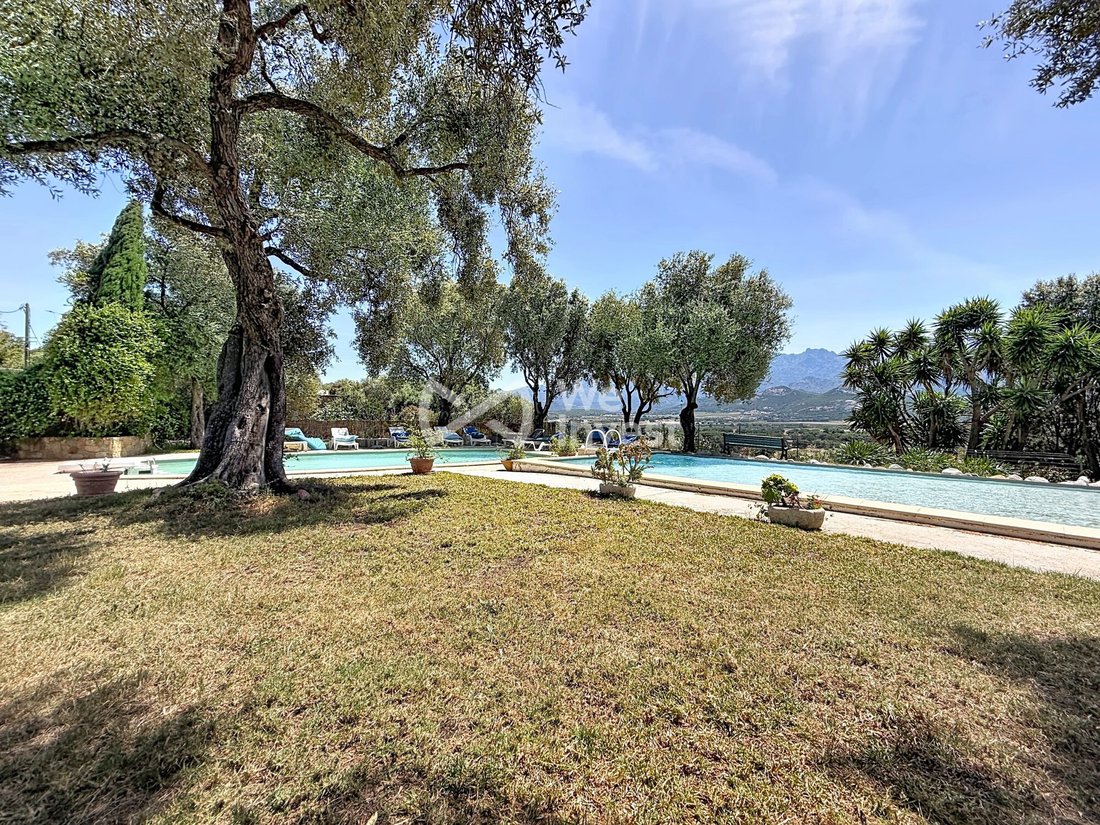 House in Centre, Calvi, France 4 - 18385650