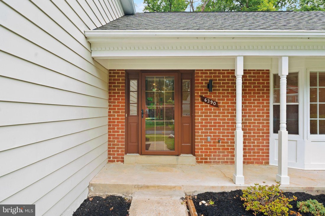 House in Springfield, VA, United States 5 - 18384052
