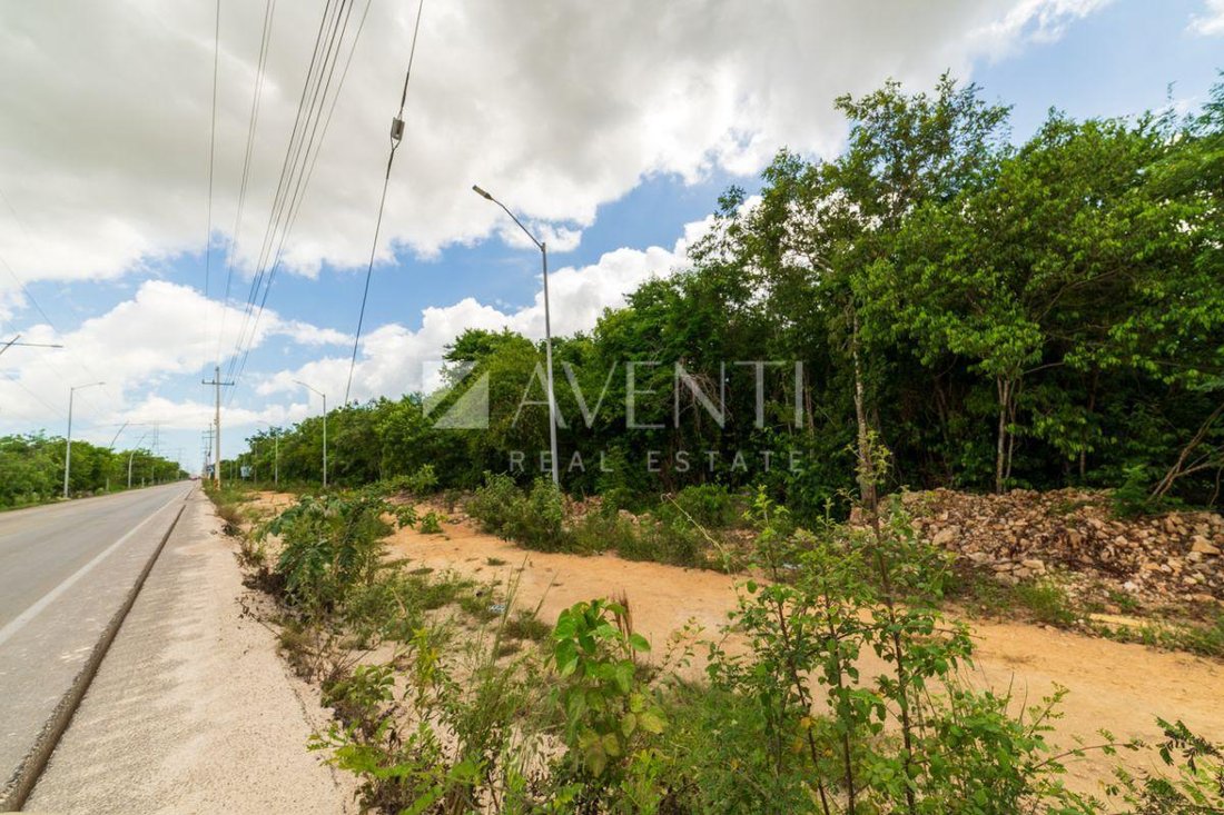 Land in Cancún, Quintana Roo, Mexico 2 - 18373999