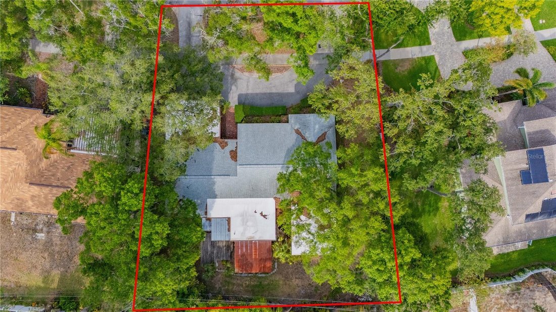 House in Tampa, Florida, United States 3 - 18373042