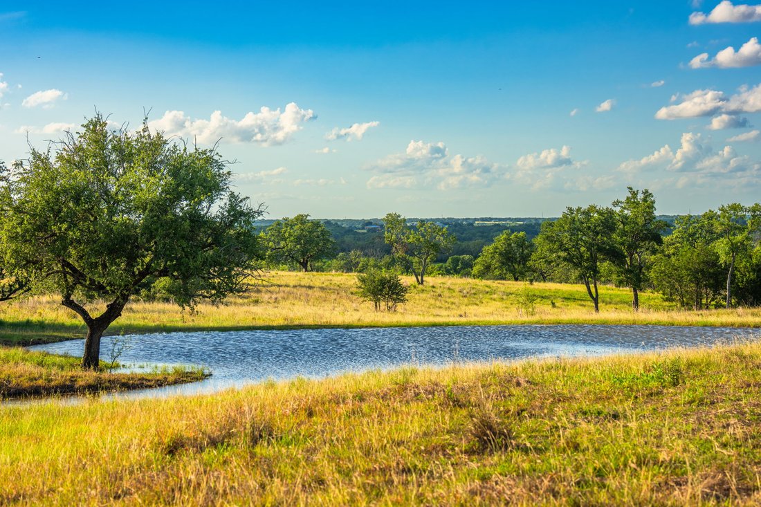 Azienda agricola a Bertram, Texas, Stati Uniti 2 - 18373374