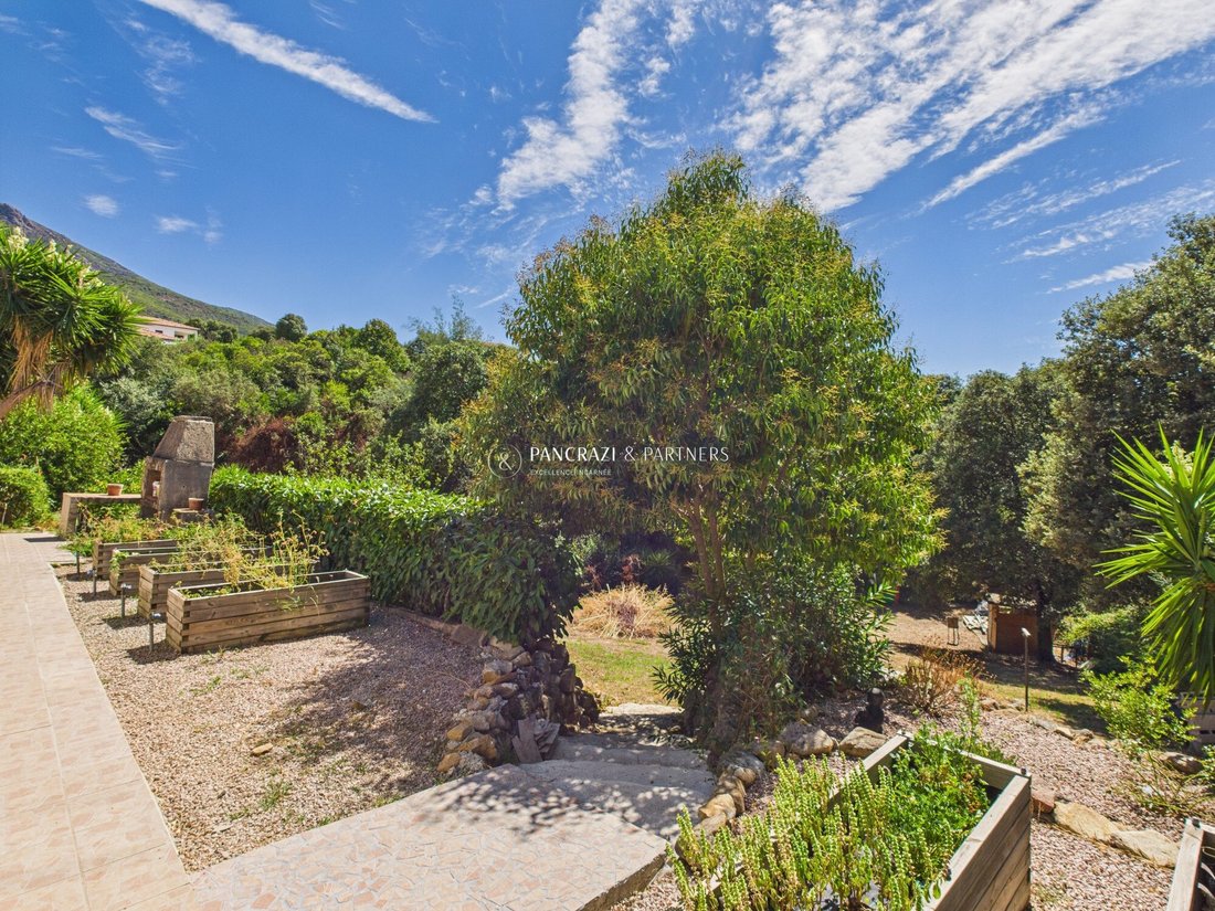 Villa in Cuttoli-Corticchiato, Corsica, France 3 - 18369734