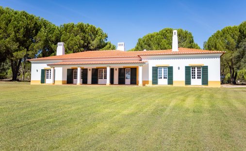 Villa in Santo Estevao, Santarem District, Portugal 1