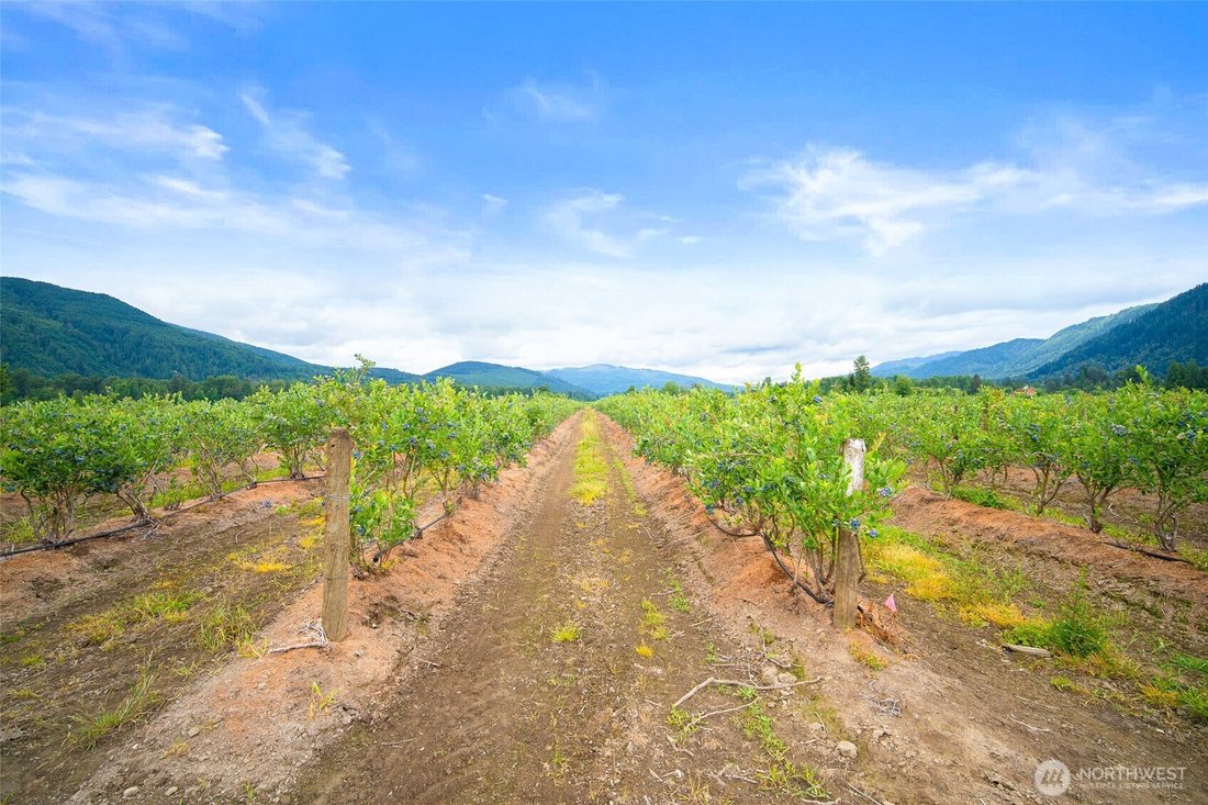 Farm Ranch in Deming, Washington, United States 5 - 18373349