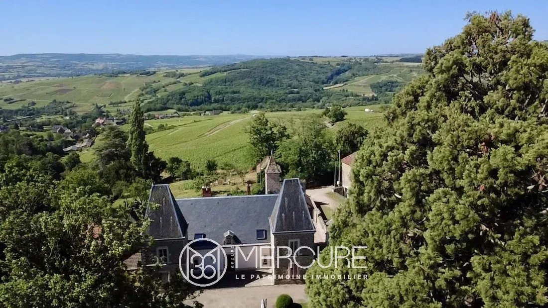 Castle in Santenay, Bourgogne – Franche-Comté, France 3 - 18374341