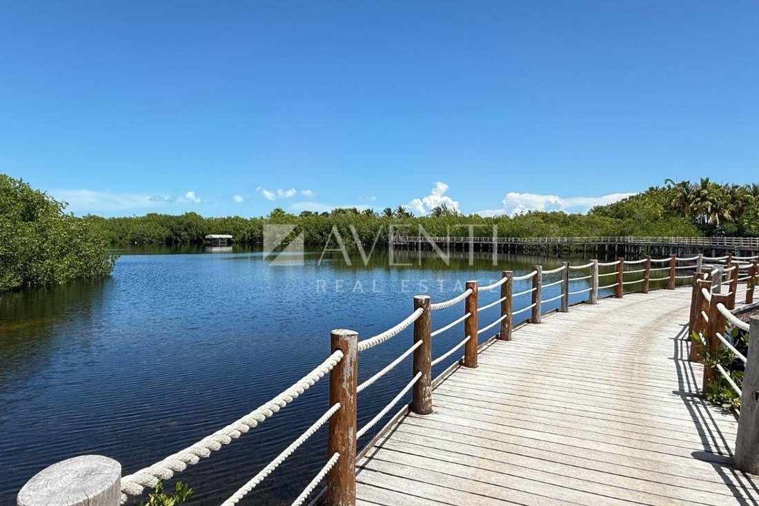 Land in Cancún, Quintana Roo, Mexico 3 - 18373937